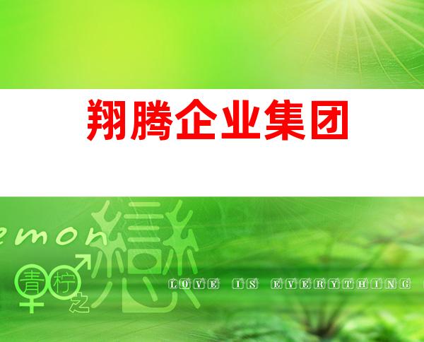 翔腾企业集团